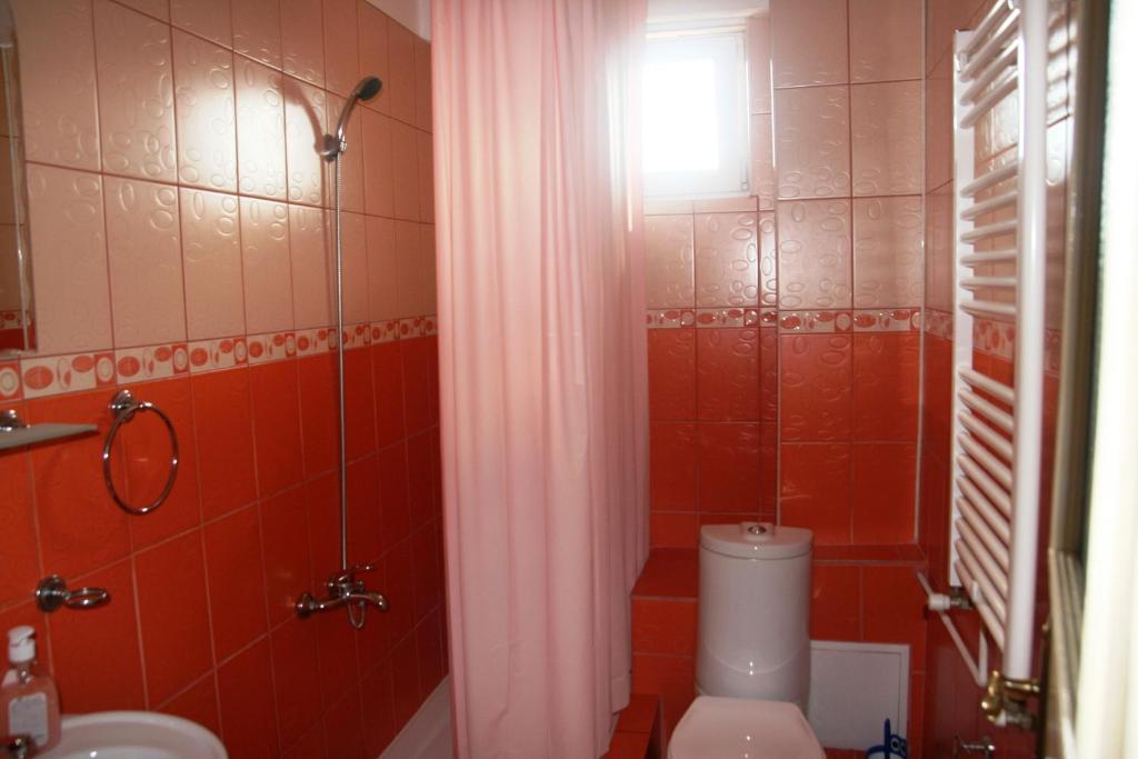 Pensiunea Sydney Timişoara Chambre photo