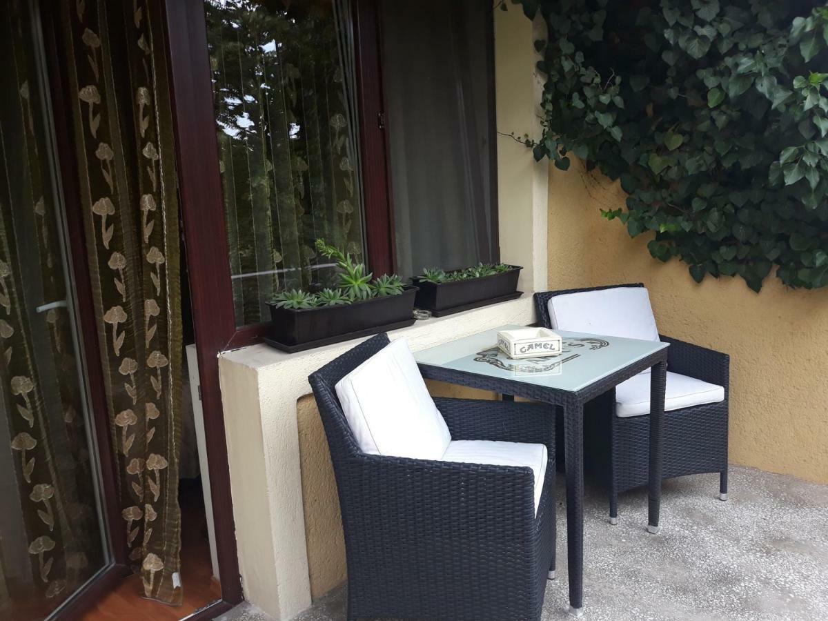 Pensiunea Sydney Timişoara Extérieur photo